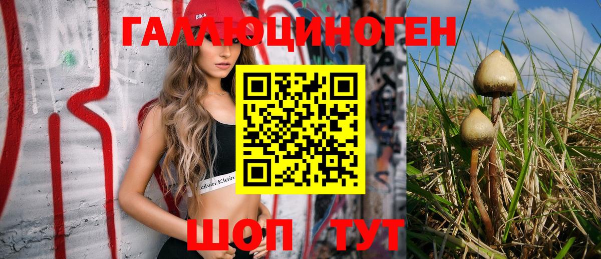 Псилоцибиновые грибы GOLDEN TEACHER Новороссийск